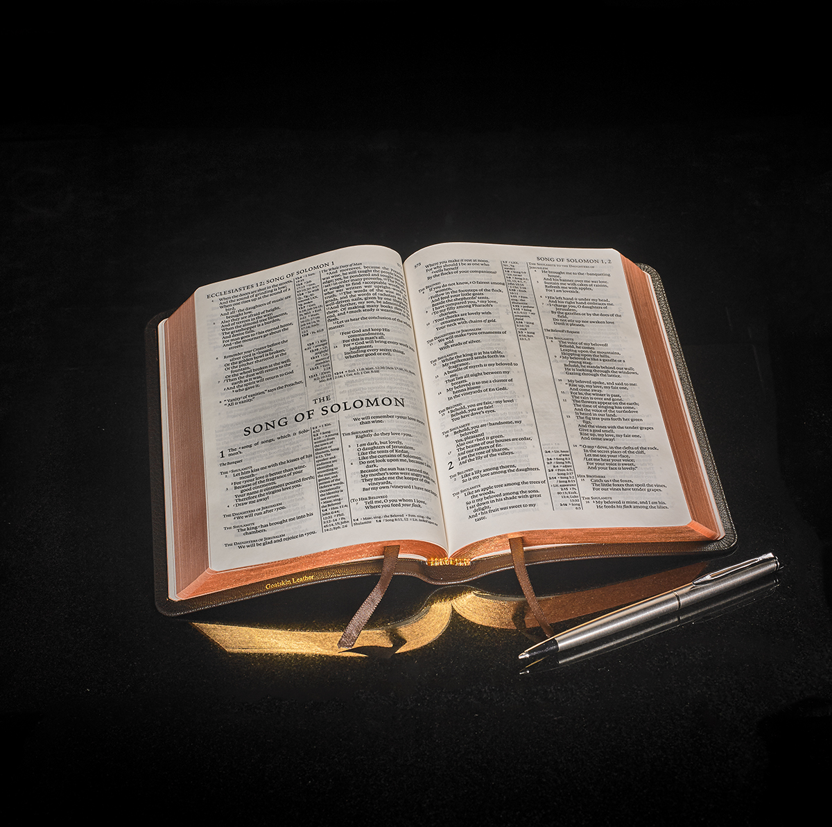 NASB Pitt Minion Reference Edition | Cambridge University Press